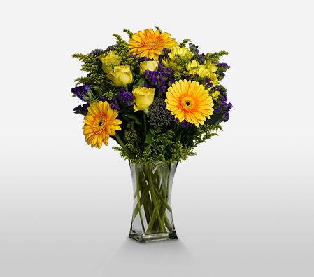 Herald-Mixed,Purple,Yellow,Rose,Gerbera,Arrangement