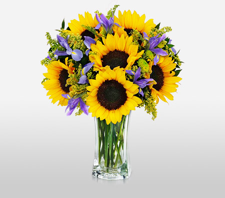 Smiles And Cheers-Purple,Yellow,SunFlower,Arrangement