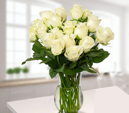 20 Beautiful White Roses