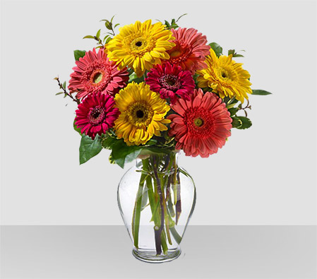 Cheerful Gerberas