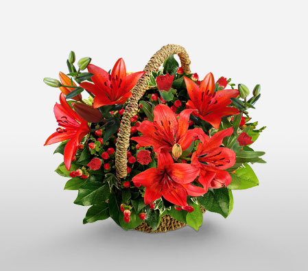 Rouge Love-Red,Lily,Carnation,Arrangement,Basket