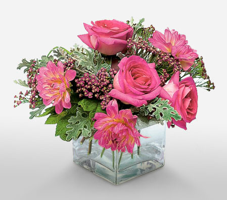 Rarefied-Pink,Dahlia,Gerbera,Rose,Arrangement