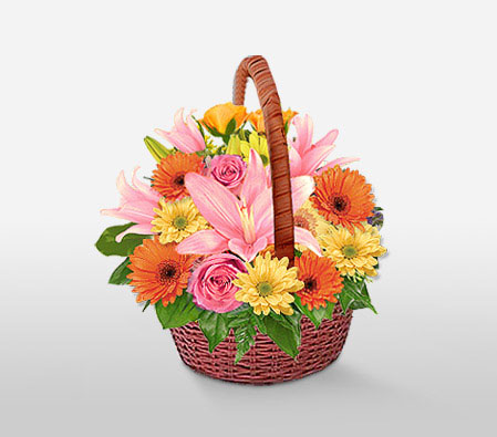 Modern Trance-Mixed,Orange,Pink,Yellow,Mixed Flower,Lily,Gerbera,Rose,Arrangement,Basket