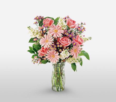 Sweeter Than Sugar - Mixed Arrangement-Pink,Daisy,Gerbera,Mixed Flower,Rose,Arrangement