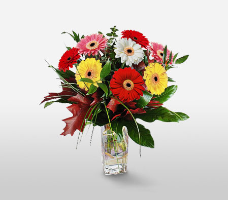 Gdynia Glory-Pink,Red,Yellow,Daisy,Gerbera,Bouquet