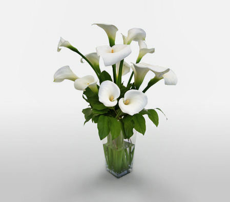 Serenity-White,Lily,Arrangement