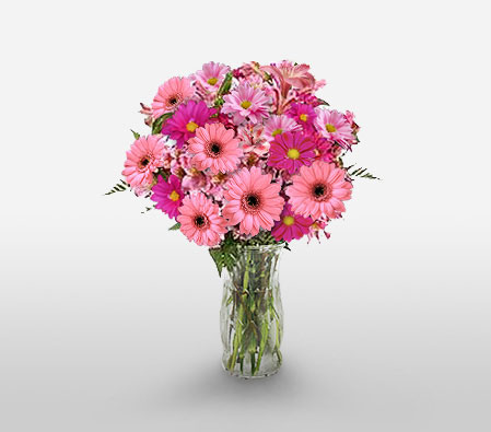 Mona Lisa - Pink Gerberas-Pink,Daisy,Gerbera,Arrangement