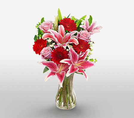 Assorted Muse - Mixed Arrangement-Mixed,Pink,Red,Daisy,Gerbera,Iris,Mixed Flower,Rose,Arrangement