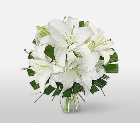 Deseo Puro-White,Lily,Arrangement,Sympathy