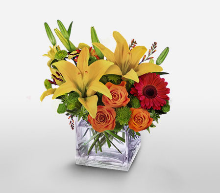 Pop Arte-Mixed,Orange,Pink,Yellow,Rose,Mixed Flower,Lily,Gerbera,Arrangement