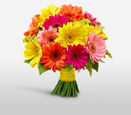 Gerbera Glee-Mixed,Orange,Red,Yellow,Daisy,Gerbera,Bouquet