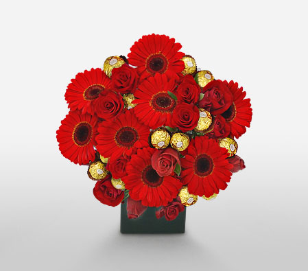 Scrumptious Red Gerberas-Red,Daisy,Gerbera,Rose,Arrangement