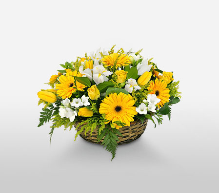 Summer Glow-White,Yellow,Daisy,Gerbera,Rose,Basket